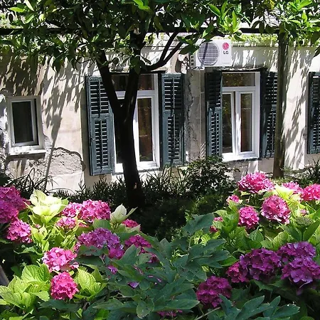 Apartment Elly